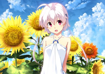 Anime Expo 2015 visual novel licensing round-up