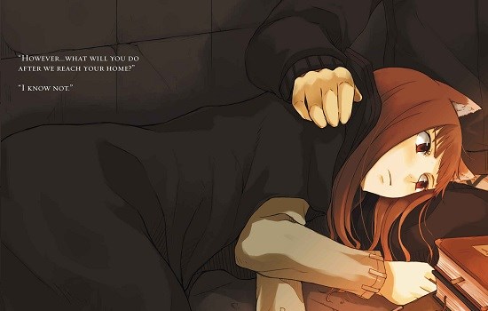 Spice and Wolf Vol. 4 (Light novel)