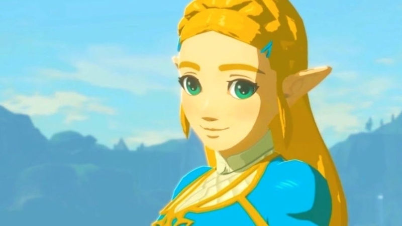 botw zelda botw zelda