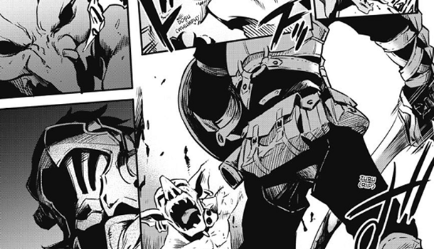 Goblin Slayer is a dark fantasy manga following the Goblin Slayer