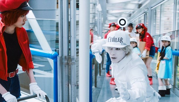 Cells at Work