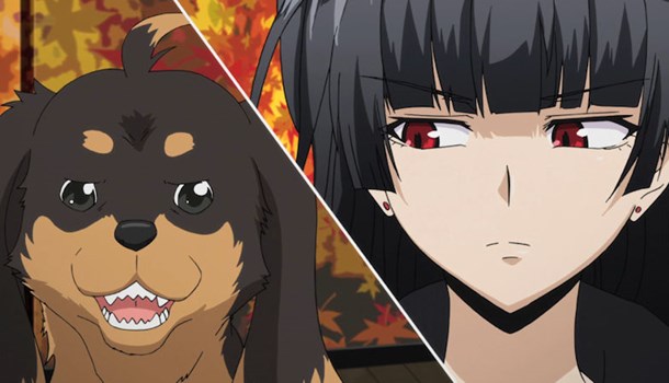 MVM Announce Dog & Scissors for October 18th