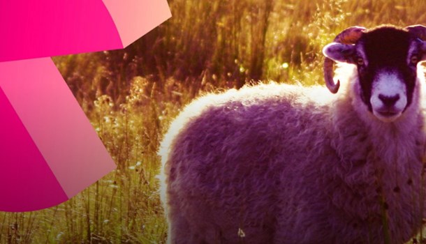 Yorkshire Games Festival 5-9 February