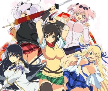 AVCon 2014 Australian anime licensing round-up