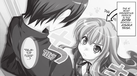 Featured image of post Toradora Manga Volumes Is a lot like it s subject matter