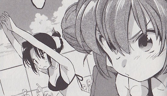 Toradora! Vol. 4
