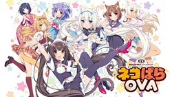 NekoPara OVA Collector's Edition
