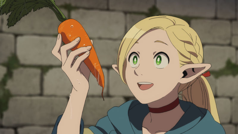 Delicious in Dungeon Marcille