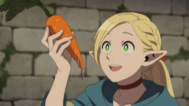 Delicious in Dungeon Marcille