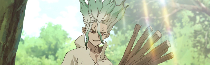 Dr Stone