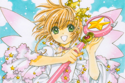 The Magic is in the Cards :  Cardcaptor Sakura