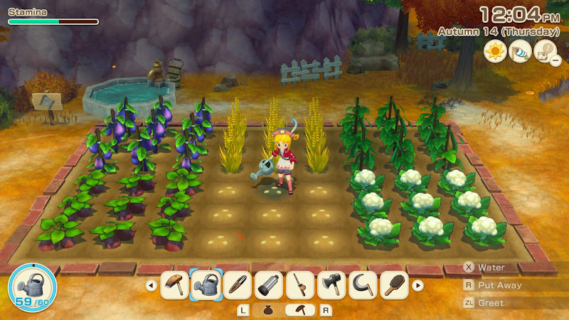 Story of Seasons: Grand Bazaar