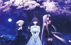 New announcements from MVM