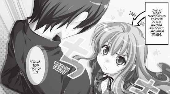 Toradora! Licensed by Seven Seas – English Light Novels