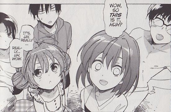 Toradora! Vol. 5